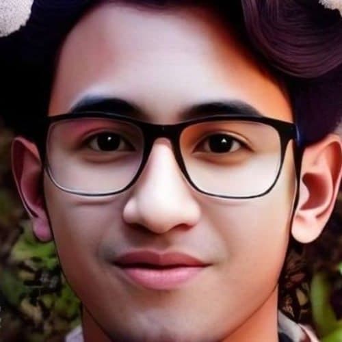 Wildanoel